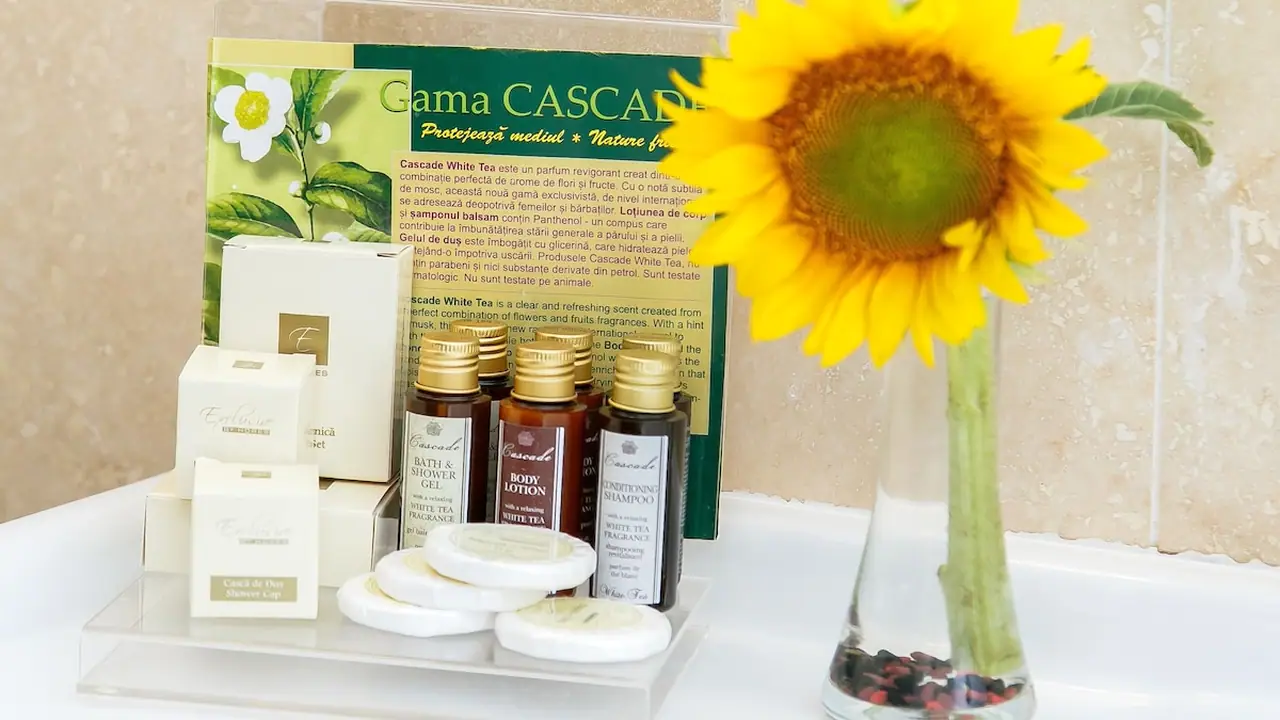 International Bucharest City Centre